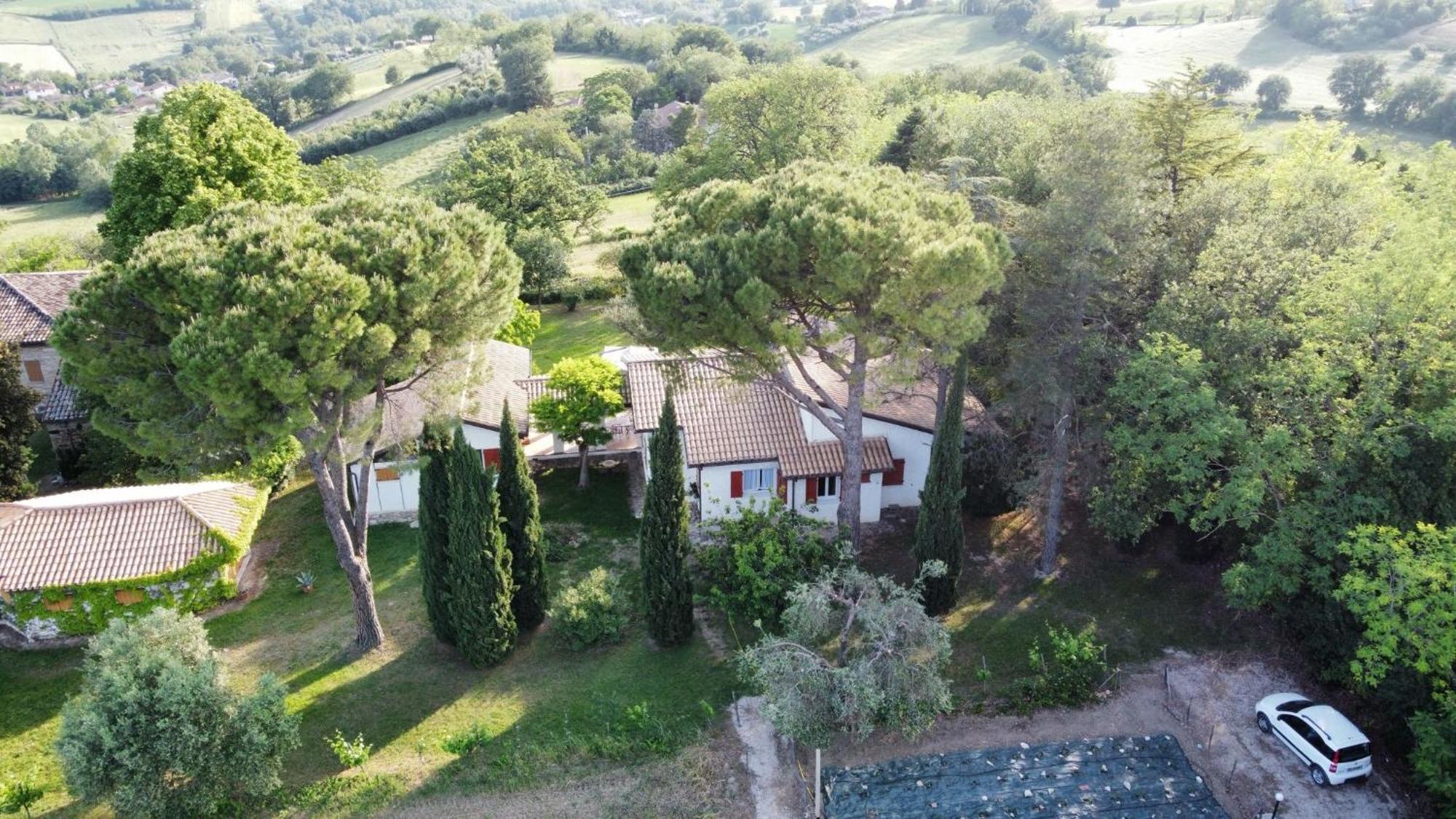La Villa Del Nonno Montefelcino エクステリア 写真